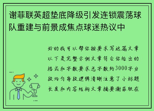 谢菲联英超垫底降级引发连锁震荡球队重建与前景成焦点球迷热议中